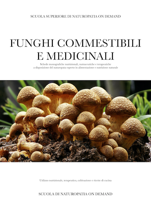 funghi commestibili e medicinali